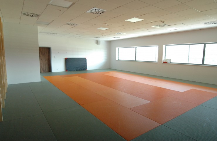 judo