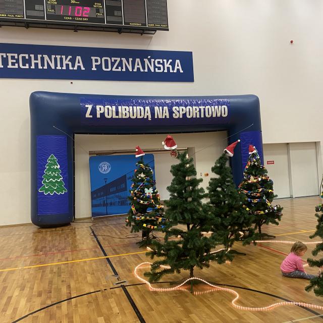 26